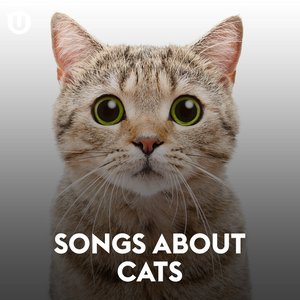 “Songs About Cats”的封面