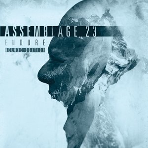 “Endure (Deluxe Edition)”的封面
