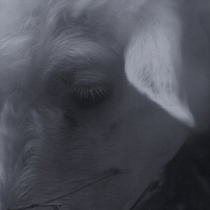 Image for 'You and Me'