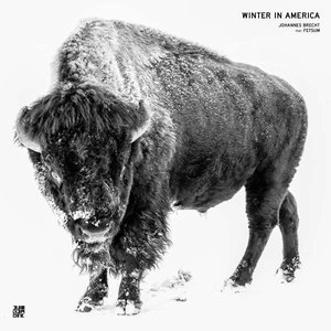 Image for 'Winter in America'