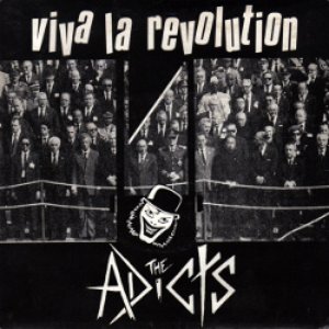 Image for 'Viva La Revolution'