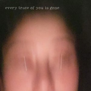 Immagine per 'Every Trace of You is Gone'