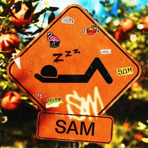 Image for 'SAM'