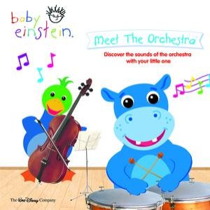 Imagem de 'Baby Einstein: Meet the Orchestra'