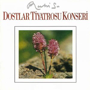 Image for 'Dostlar Tiyatrosu Konseri (Live)'