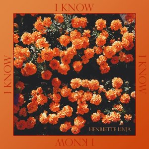 'I Know' için resim