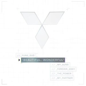 “Beautiful, Wonderful”的封面
