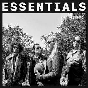 Immagine per 'essentials'