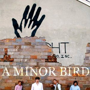 Image for 'a minor bird'