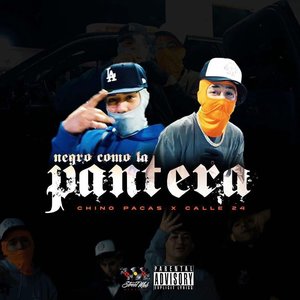 “Negro Como La Pantera”的封面
