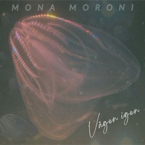 Image for 'Vågen igen'