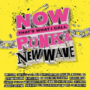 Imagen de 'NOW That's What I Call Punk & New Wave'