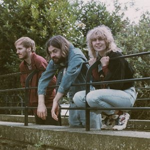 Image for 'The Bug Club'
