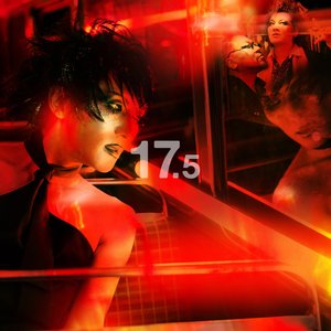 “17.5”的封面