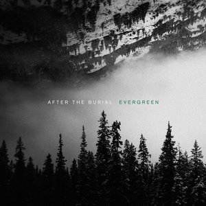 Image for 'Evergreen'