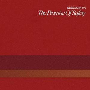 Image for 'The Promise Of Safety'