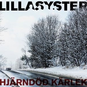 “Hjärndöd kärlek”的封面