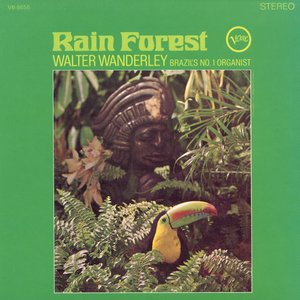 Image for 'Rain Forest'