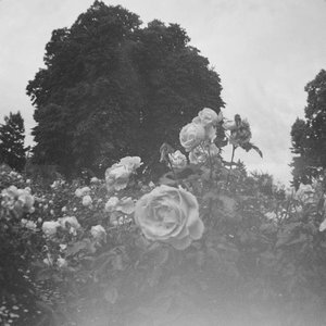 Zdjęcia dla 'A Thousand Thoughts In The Mind Of Angels'
