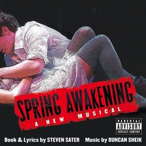 Immagine per 'Spring Awakening: A New Musical'