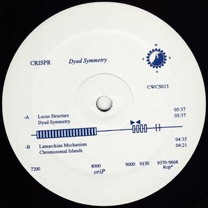 “Dyad Symmetry EP”的封面