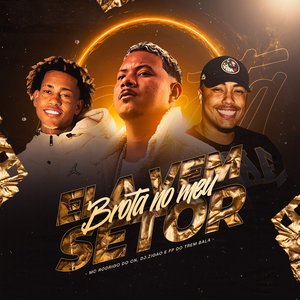 Image for 'Ela Vem, Brota no Meu Setor'