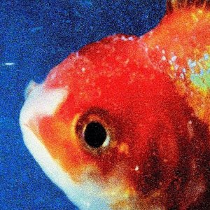 “Big Fish Theory”的封面