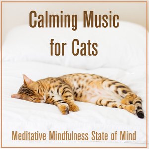 Image for 'Calming Music For Cats: Meditative Mindfulness State of Mind'