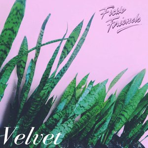 Immagine per 'Velvet - EP'