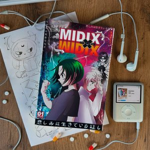 Image for 'Midix x Midix'
