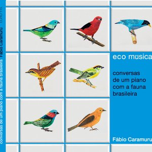 Image pour 'Ecomúsica: Conversas de um Piano com a Fauna Brasileira'