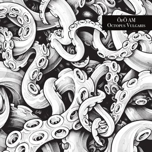 Image for 'OCTOPUS VULGARIS'