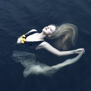 Image for 'Silent Chamber, Noisy Heart (Remastered 2024)'