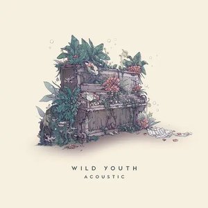Bild für 'Wild Youth (Acoustic)'