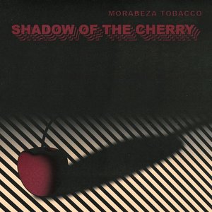 “Shadow of the Cherry”的封面