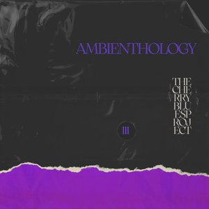 Image for 'Ambienthology, Vol. 3'