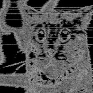 'Marzuku'の画像