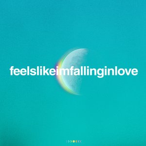 “feelslikeimfallinginlove”的封面