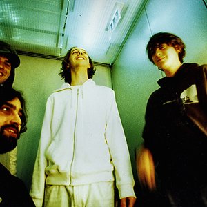 Bild für 'Animal Collective'