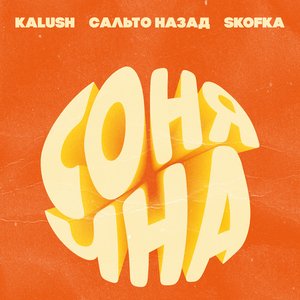 Image for 'Сонячна (feat. Сальто Назад, Skofka)'