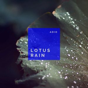 'Lotus Rain'の画像