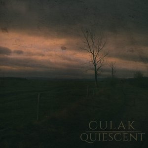 Image for 'Quiescent'