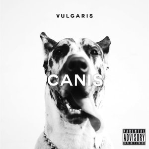 Image for 'Vulgaris'