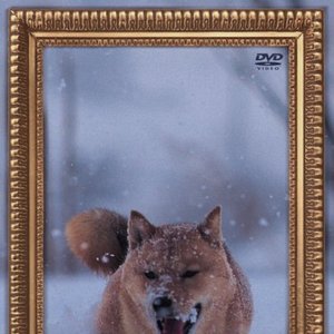 “レオナルド犬プリオ”的封面