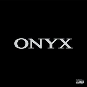 Image for 'ONYX'