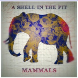 Image for 'Mammals'