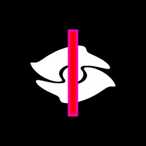 Image for 'IICONS'