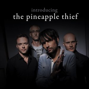 Image for 'Introducing... The Pineapple Thief'