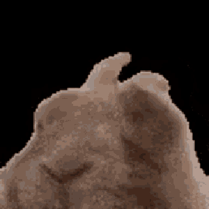 melokure