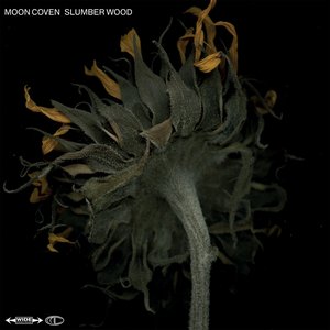 Image for 'Slumber Wood'